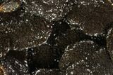 Septarian Dragon Egg Geode - Black Crystals #111228-3